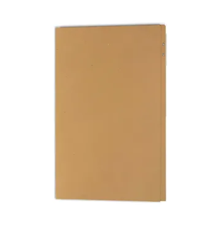 CARPETA CARTON TAMAÑO CARTA