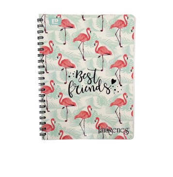 CUADERNO ARGOLLADO 80HOJAS PEQUEÑO